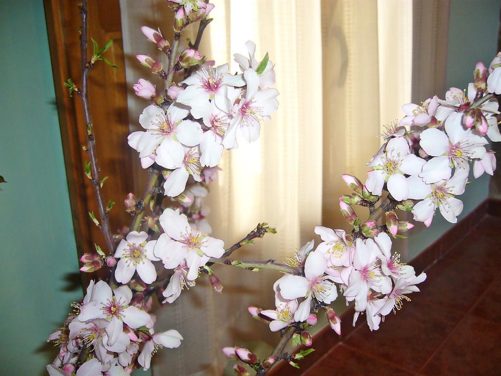 Las Bodegas Del Gilo Valdealgorfa Phòng bức ảnh
